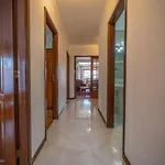 Vasco Da Gama By House And People Esposende